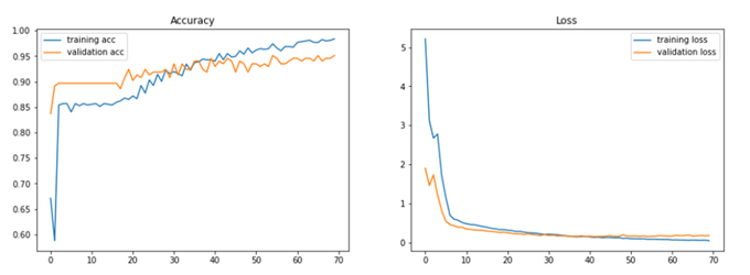 Accuracy and Loss about disease claaification.png